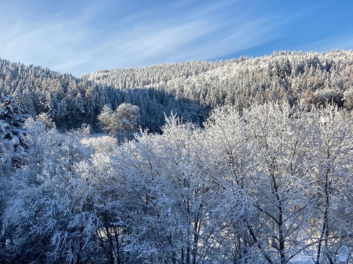 Ferienwohnung Stremme Willingen  Exteriör bild
